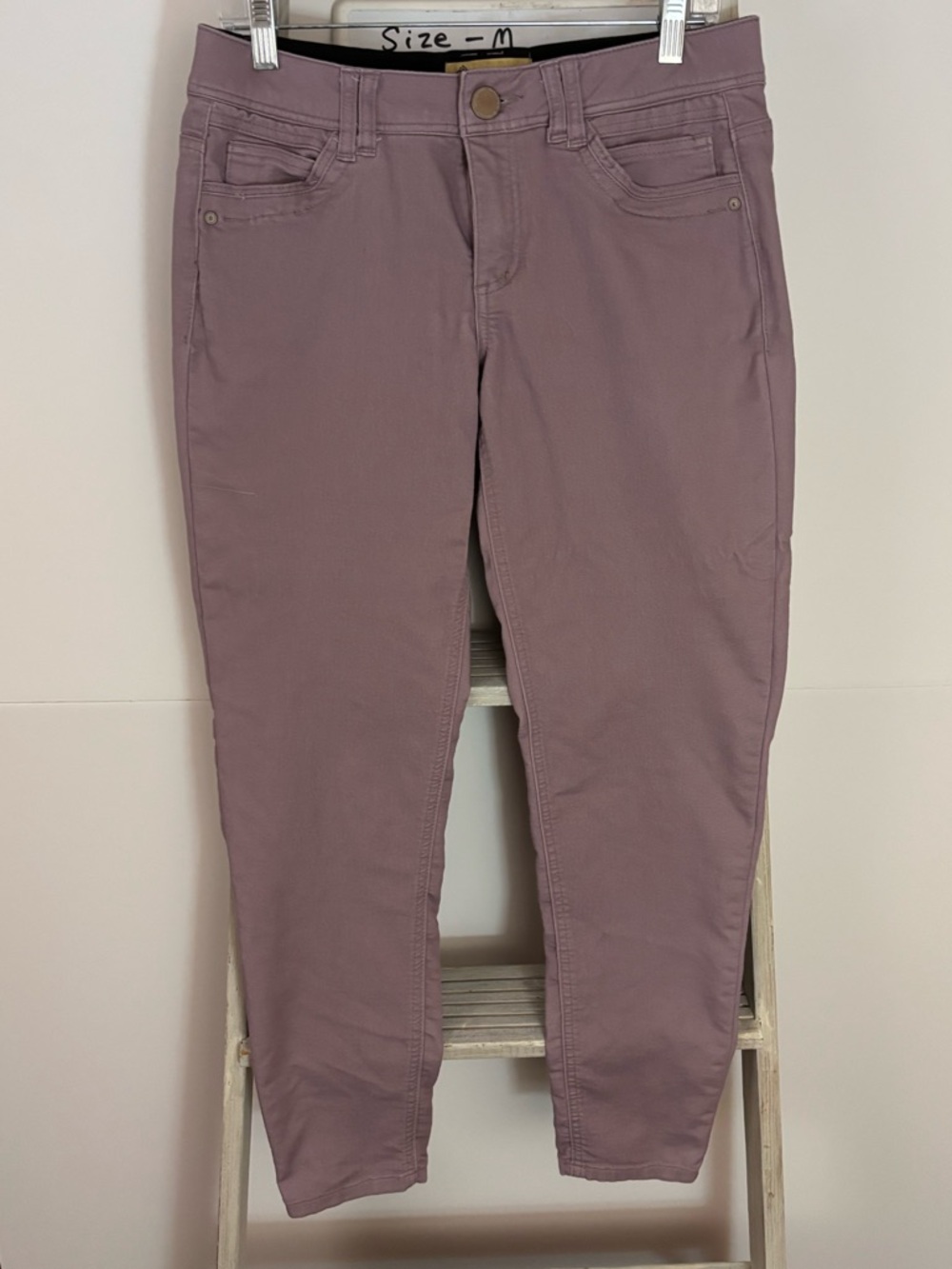 Democracy Dusty Mauve Slim Pants, Ab technology, casual, minimalist, preppy - Picture 7 of 7